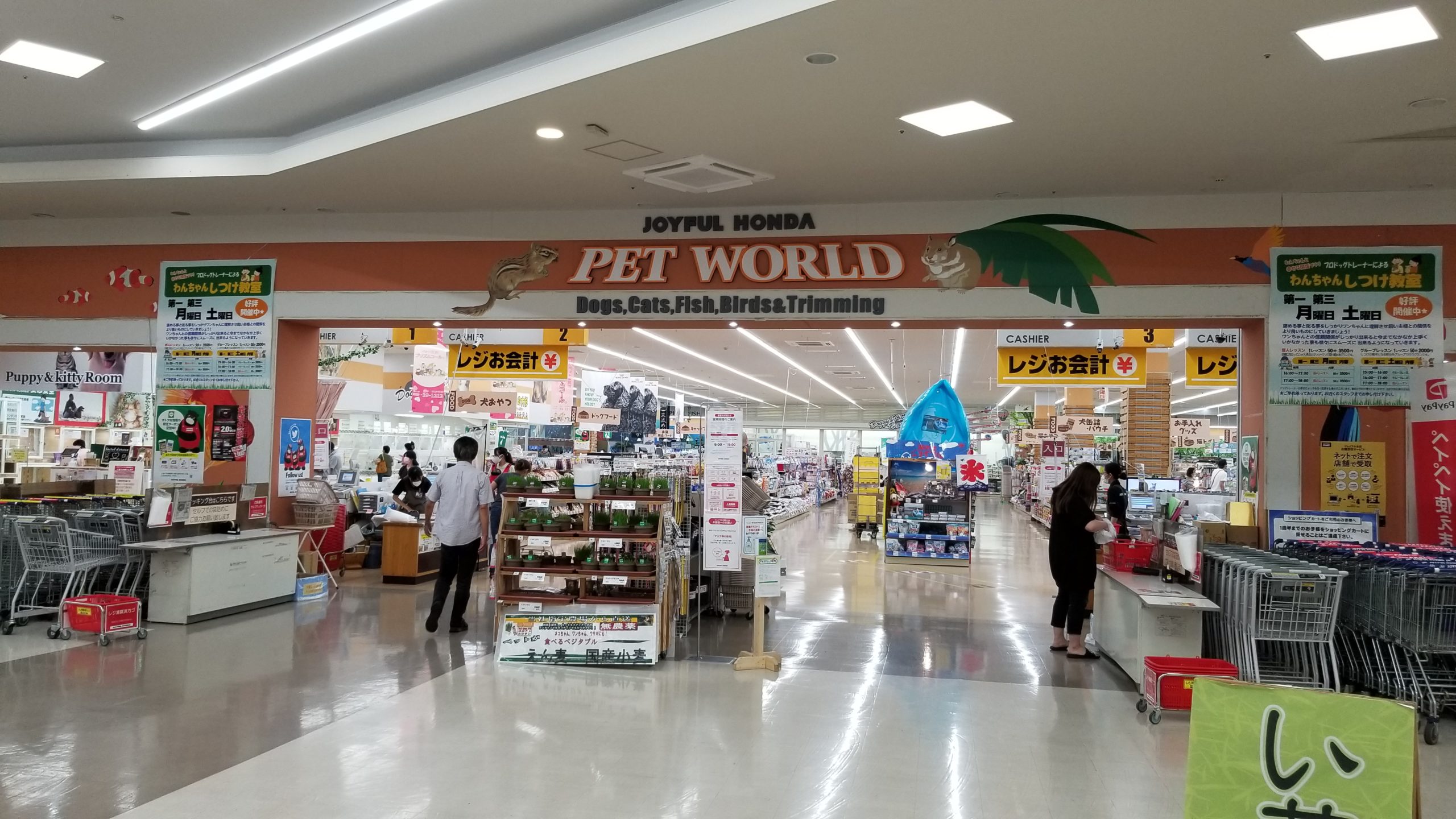 ジョイフル本田 ペットワールド宇都宮店 広い店舗に商品がいっぱい リクガメは猫