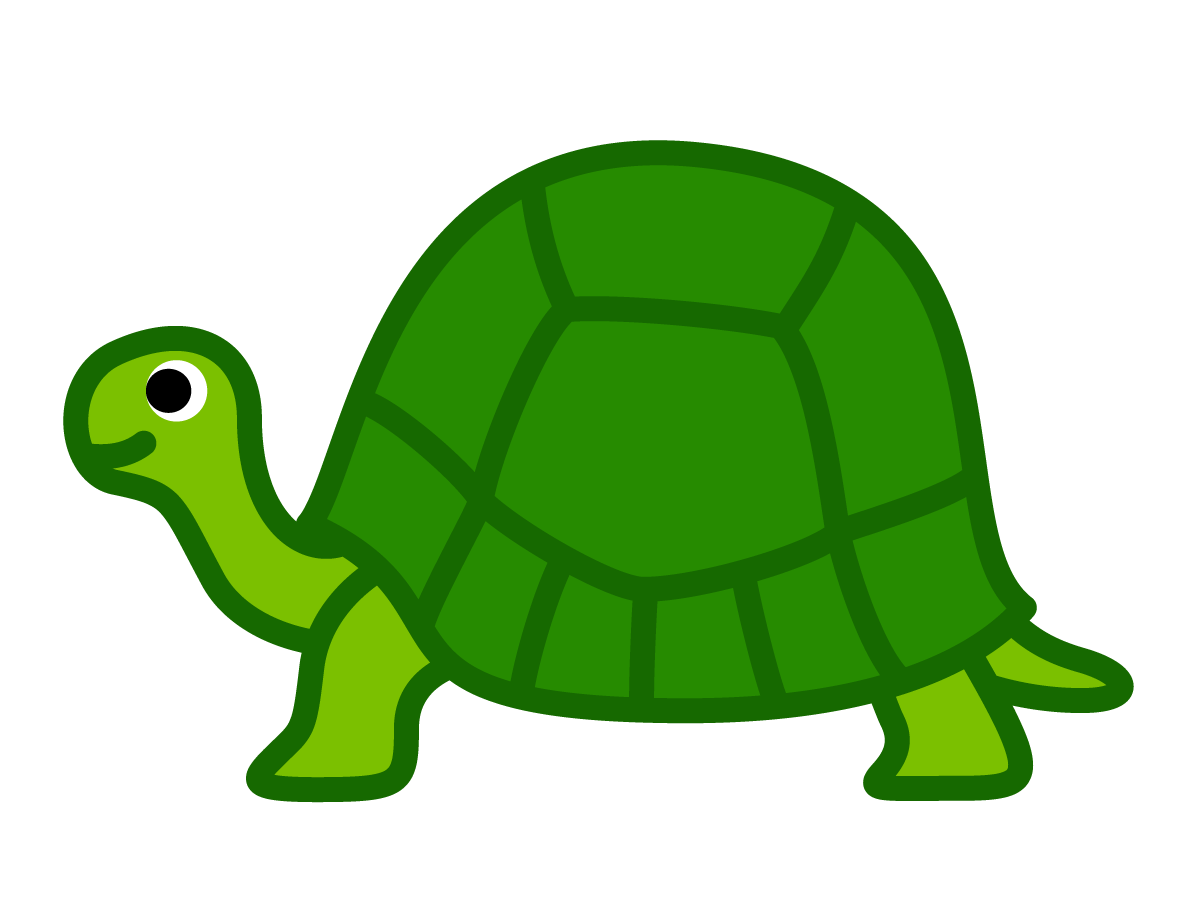 アカアシガメ リクガメ リクガメは猫